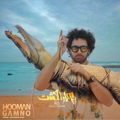 چهار انگشت